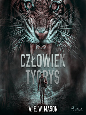 cover image of Człowiek tygrys